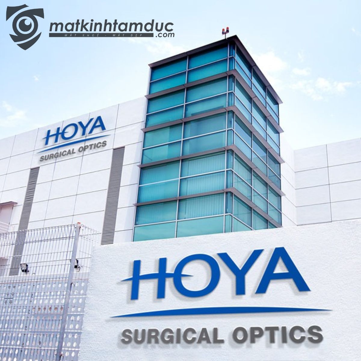 Tròng kính HOYA STELLIFY 1.67 HVP - Ảnh 12