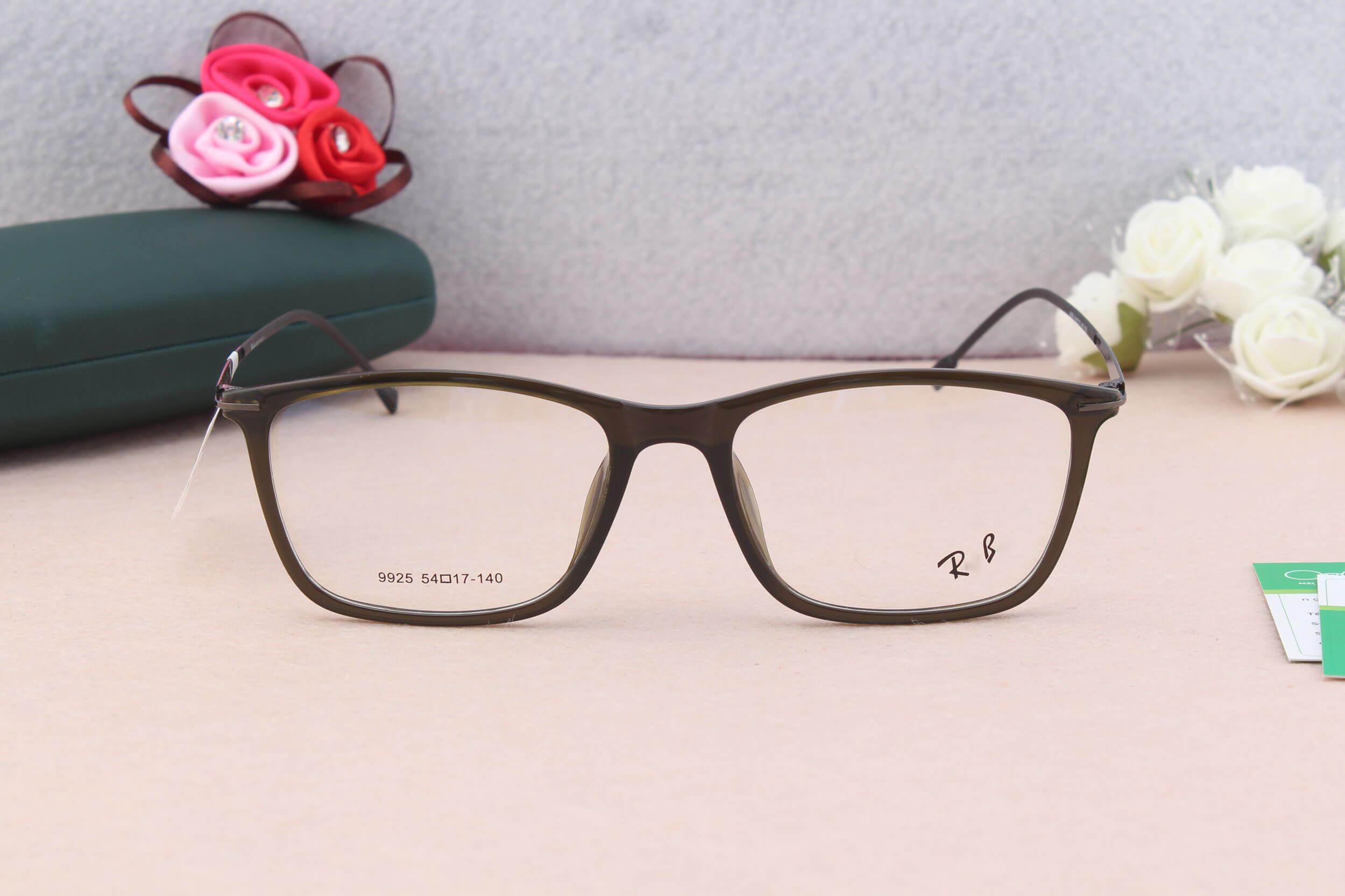 Gọng kính RB 9925 - Ảnh 1