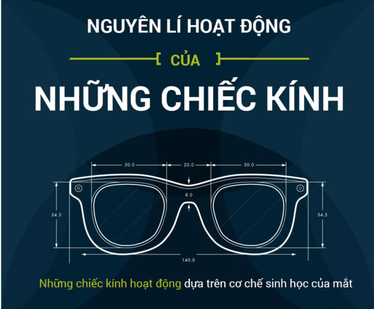[Infographic] Nguyên lí hoạt động của mắt kính