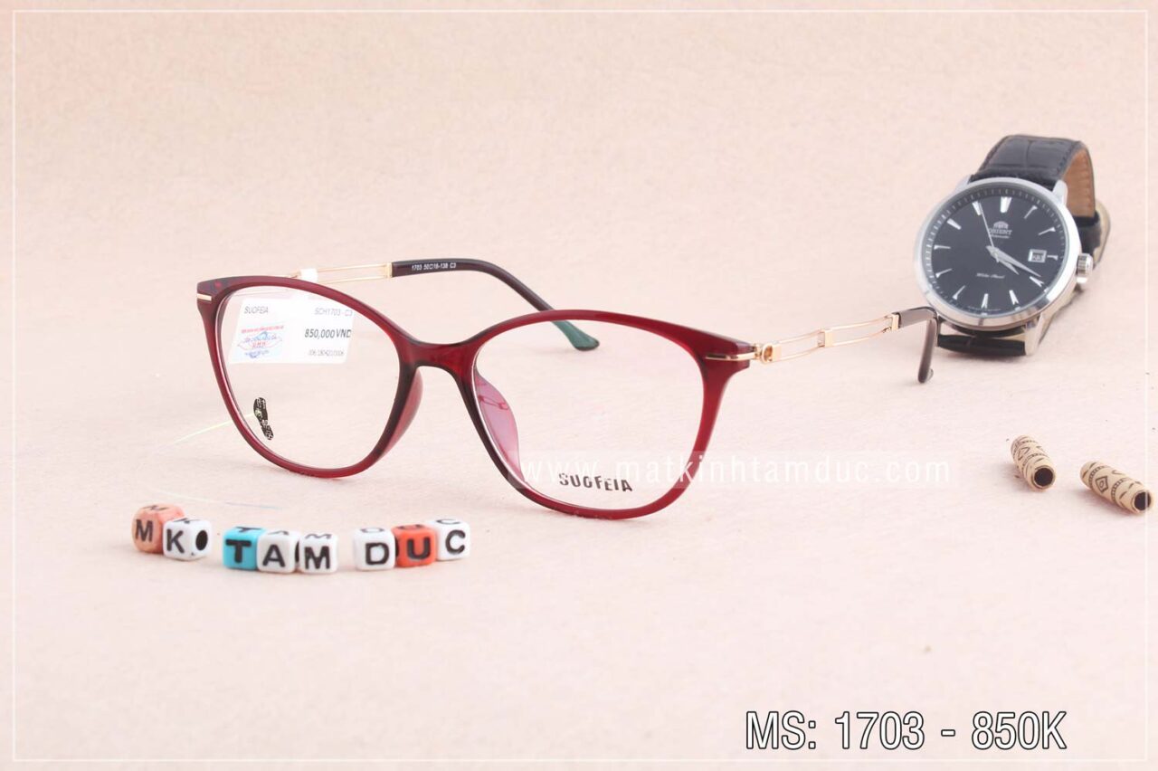 Gọng kính SUOFEIA 1703 - Ảnh 4