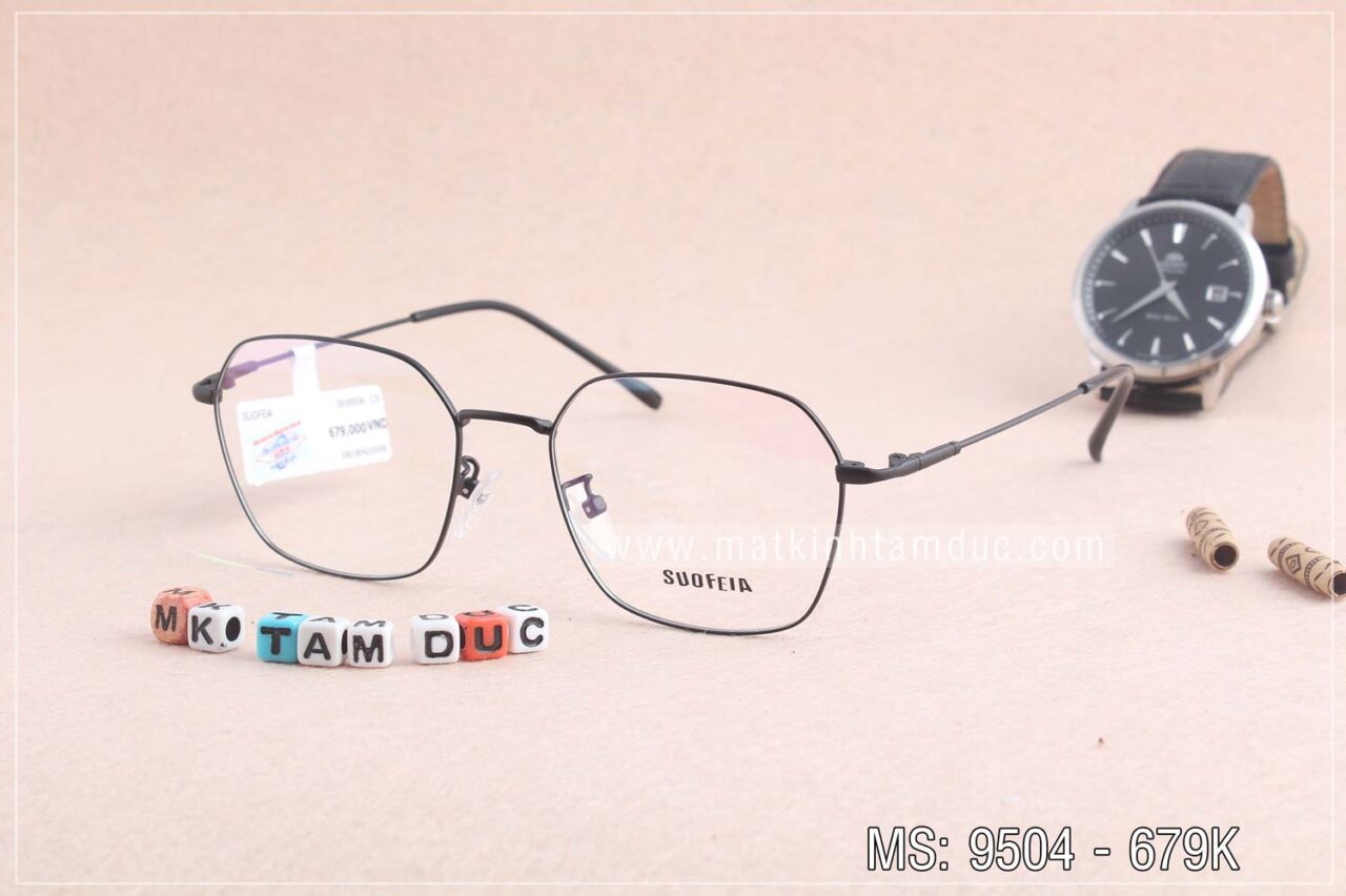 Gọng kính SUOFEIA 9504 - Ảnh 1