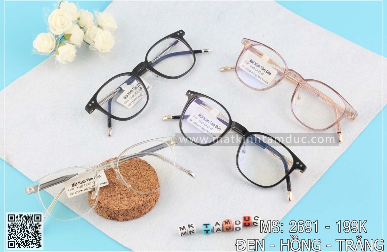 Gọng kính dẻo 2691 - Ảnh 4