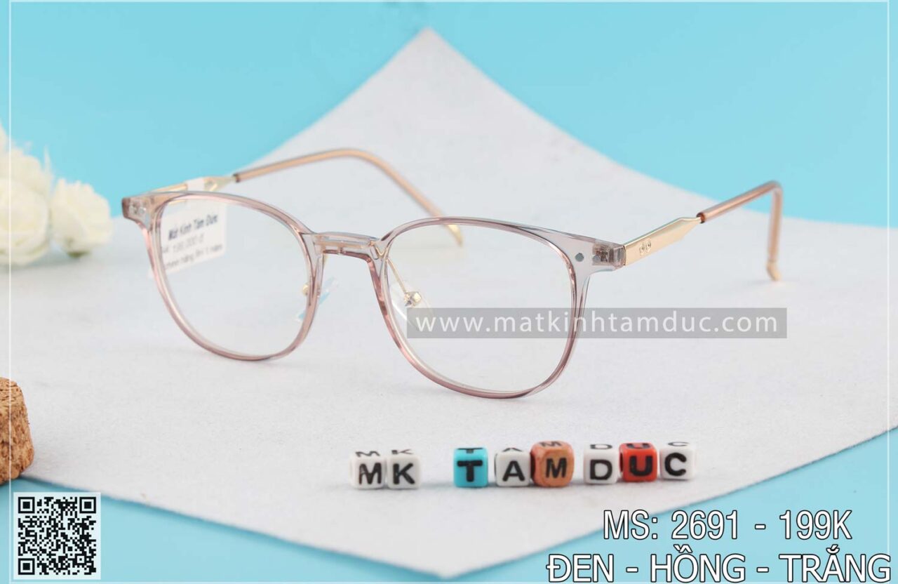 Gọng kính dẻo 2691 - Ảnh 2