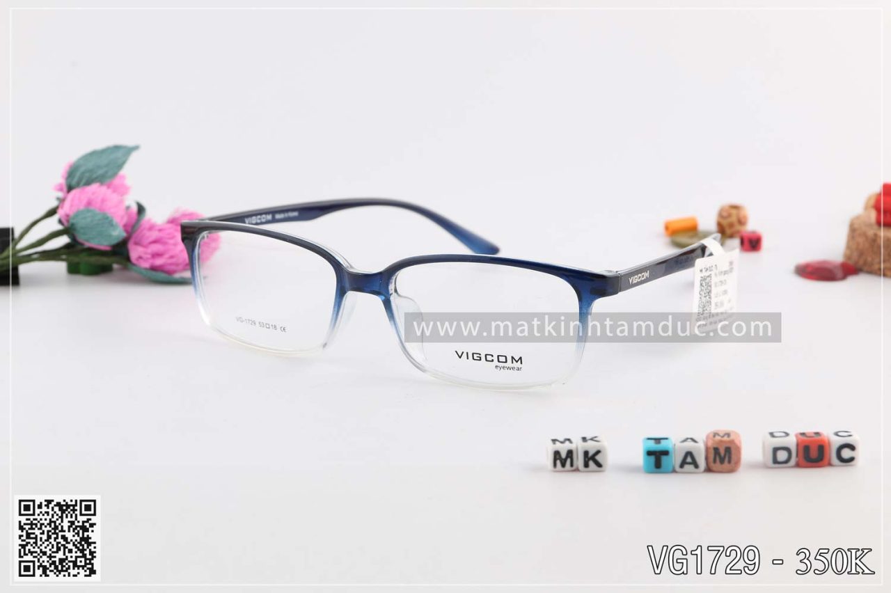 Gọng kính VIGCOM 1729 - Ảnh 1