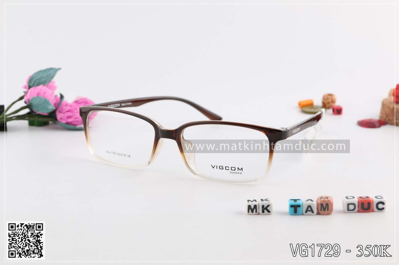 Gọng kính VIGCOM 1729 - Ảnh 3