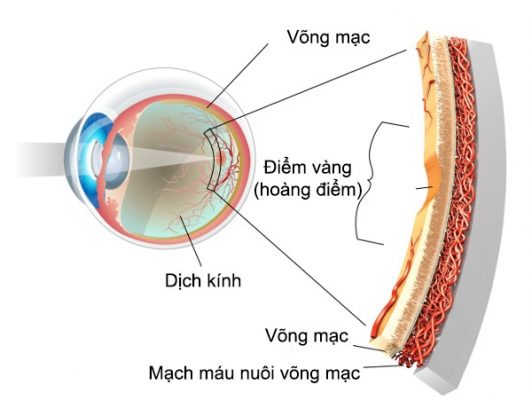 Một vài mẹo nhỏ giúp bạn có đôi mắt khỏe đẹp mỗi ngày