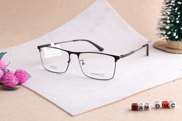 Gọng kính Aopoess 6054 - Ảnh 1