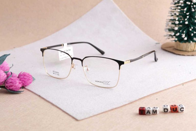 Gọng kính Aopoess 6055 - Ảnh 1