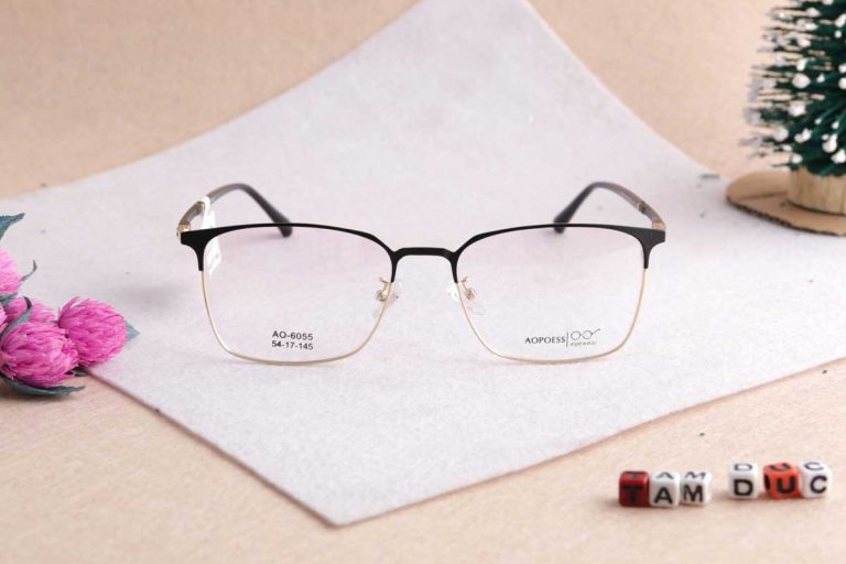 Gọng kính Aopoess 6055 - Ảnh 7