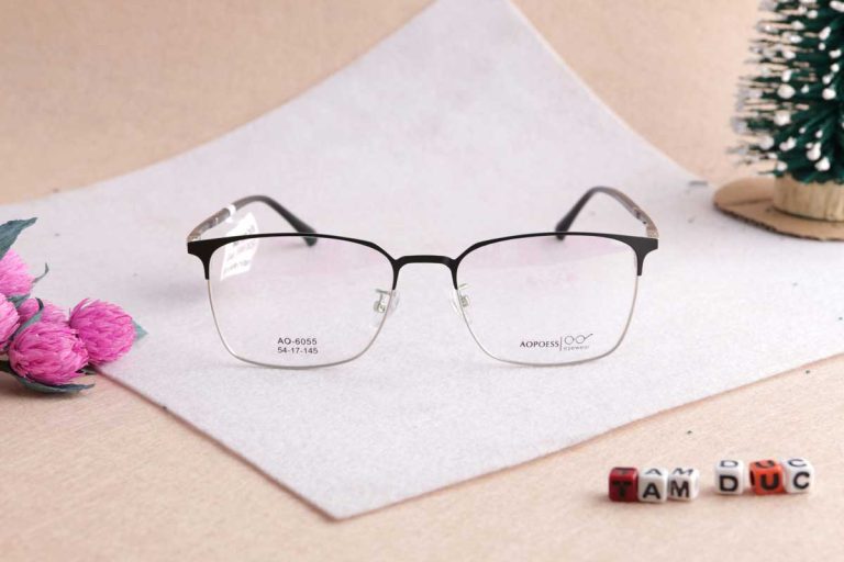 Gọng kính Aopoess 6055 - Ảnh 3