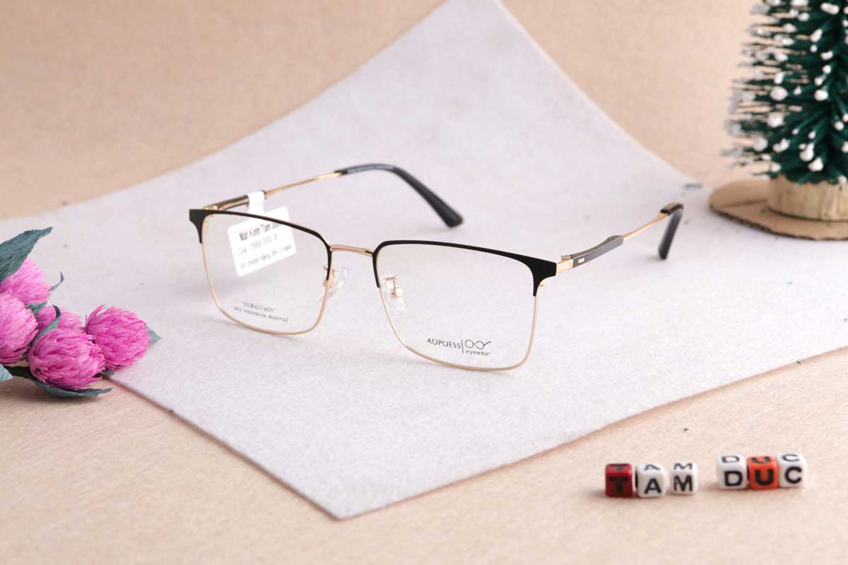 Gọng kính Aopoess 6070 - Ảnh 1