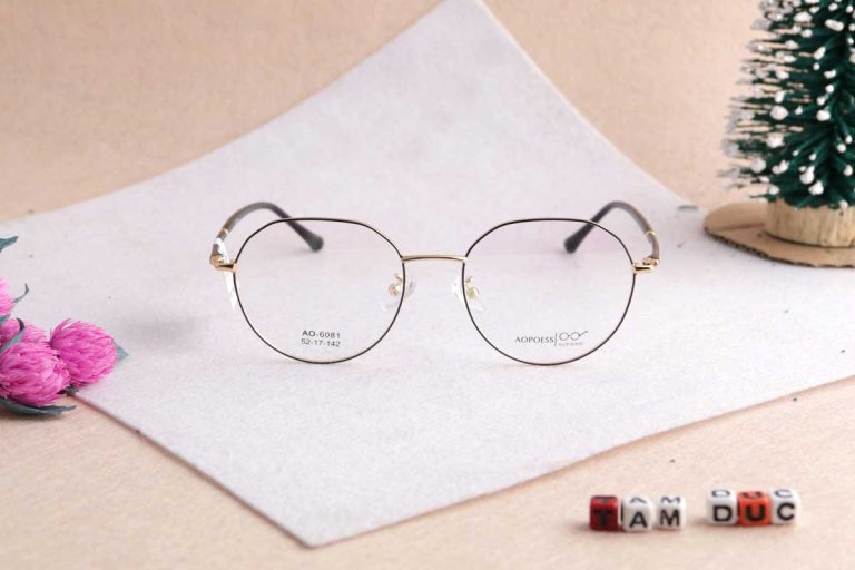 Gọng kính Aopoess 6081 - Ảnh 3