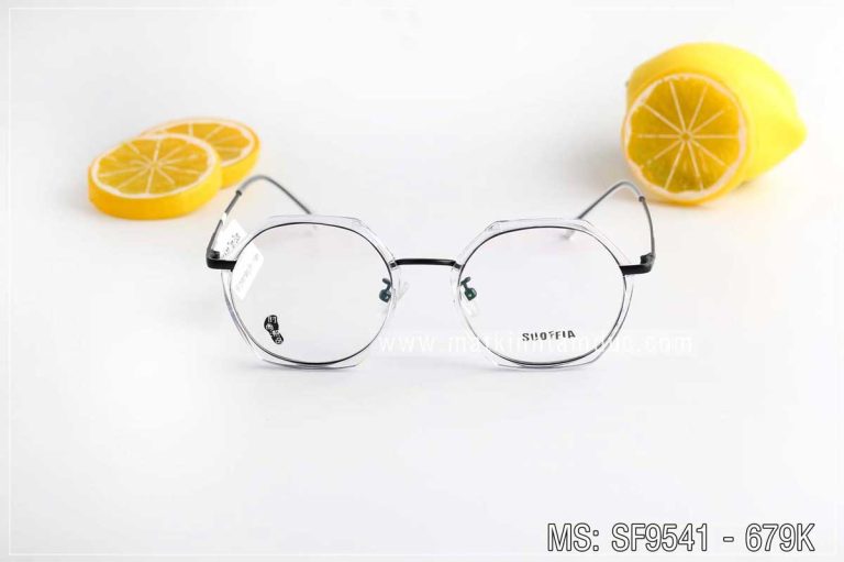 Gọng kính SUOFEIA 9541 - Ảnh 2