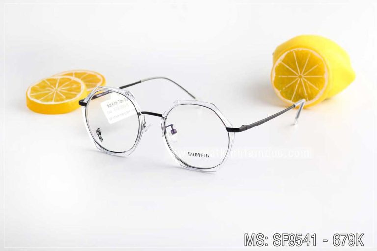 Gọng kính SUOFEIA 9541 - Ảnh 1