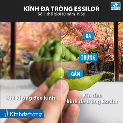 Thiết kế kính nhỏ gọn và mang tính thẩm mĩ cao