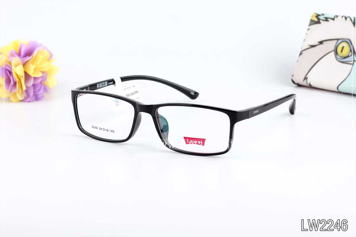 Gọng kính Lewsi LWTR2246 C60 - Ảnh 3