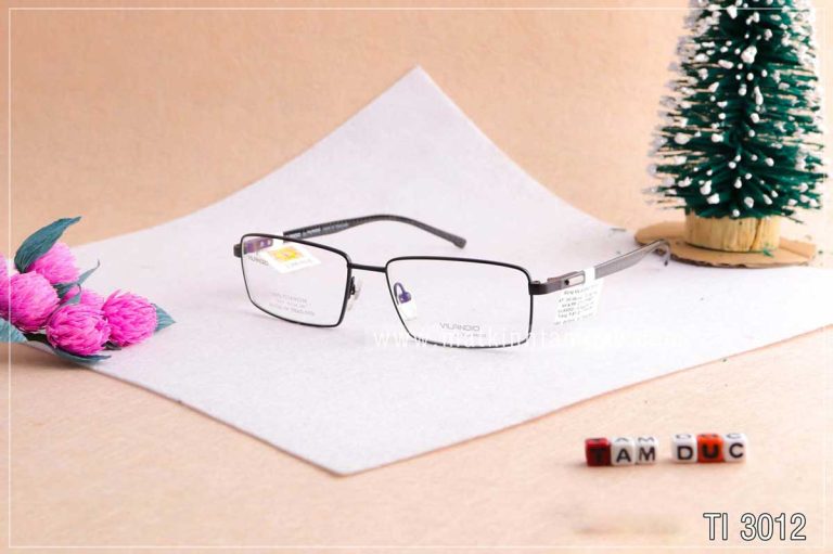Gọng kính VILANDIO TI3012 - Ảnh 3