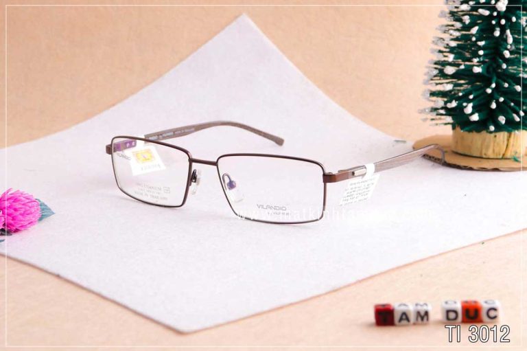 Gọng kính VILANDIO TI3012 - Ảnh 2