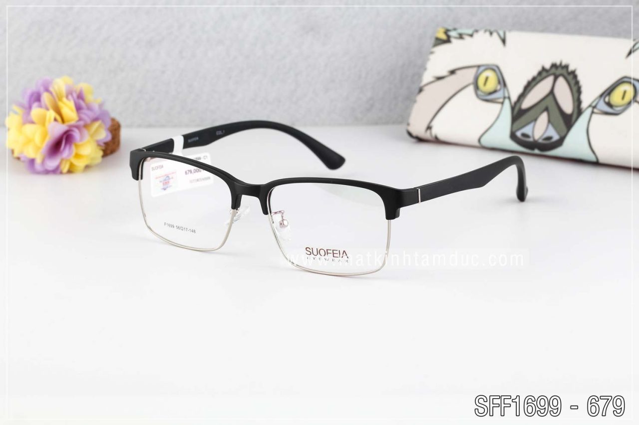 Gọng SUOFEIA F1699 - Ảnh 3