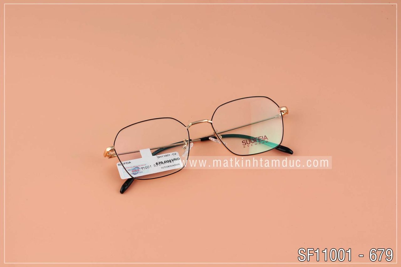 Gọng SUOFEIA 11001 - Ảnh 2