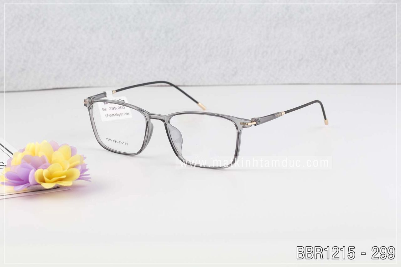 Gọng kính BBR1215 - Ảnh 3