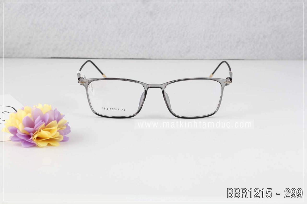 Gọng kính BBR1215 - Ảnh 2