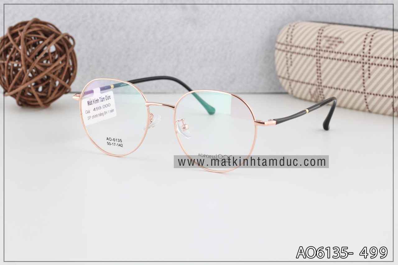 Gọng kính Aopoess 6135 - Ảnh 3