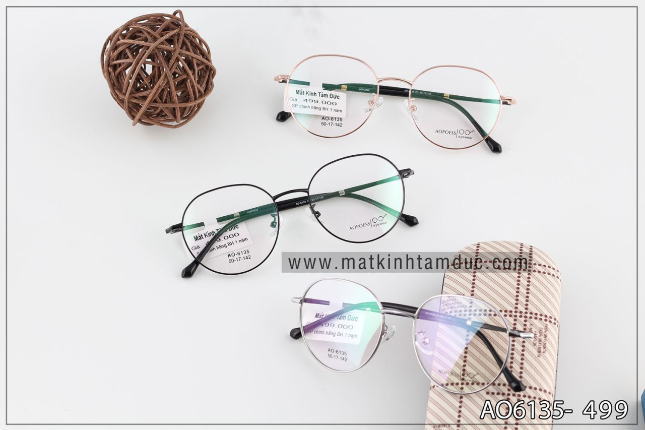 Gọng kính Aopoess 6135 - Ảnh 1
