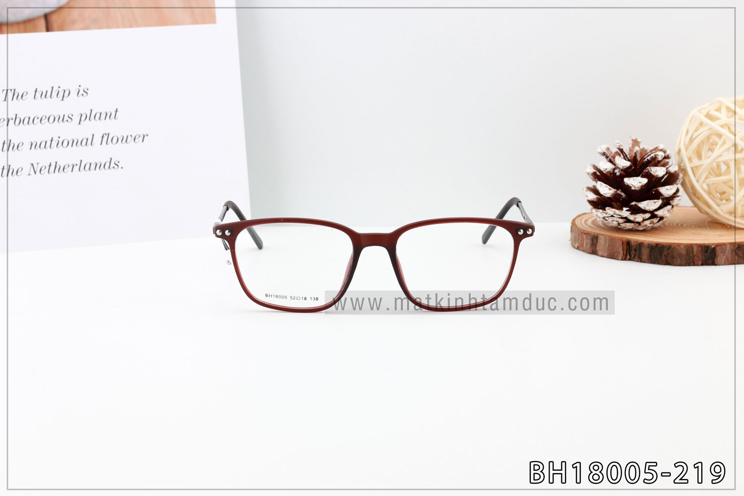 Gọng kính BH18005F - Ảnh 2