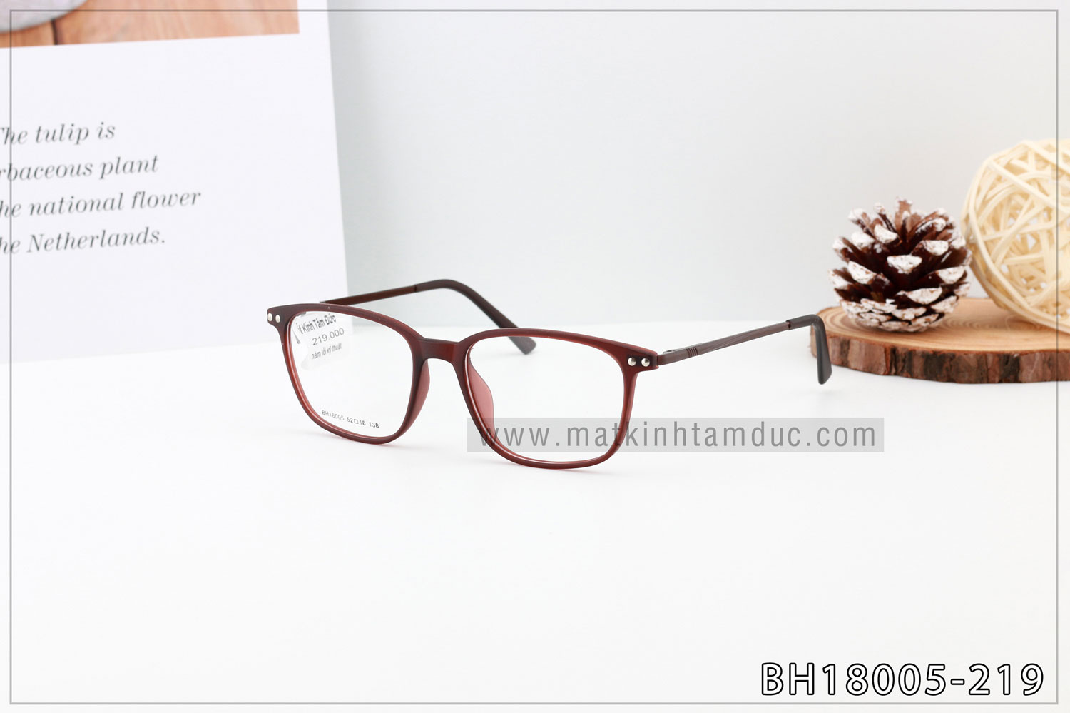Gọng kính BH18005F - Ảnh 3