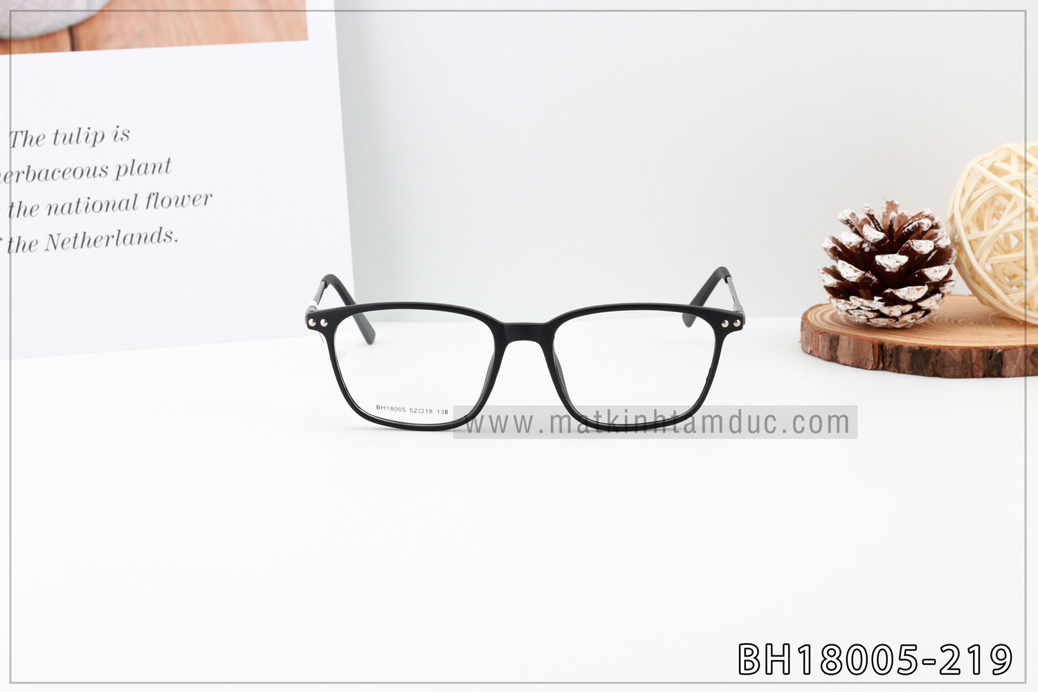 Gọng kính BH18005F - Ảnh 4