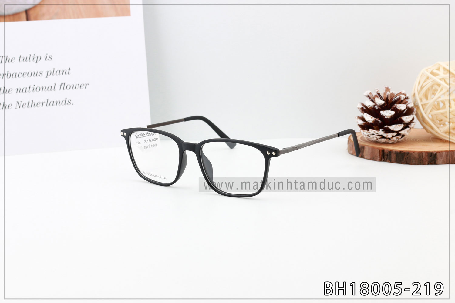 Gọng kính BH18005F - Ảnh 5