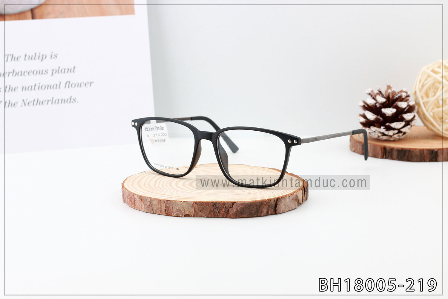 Gọng kính BH18005F - Ảnh 1