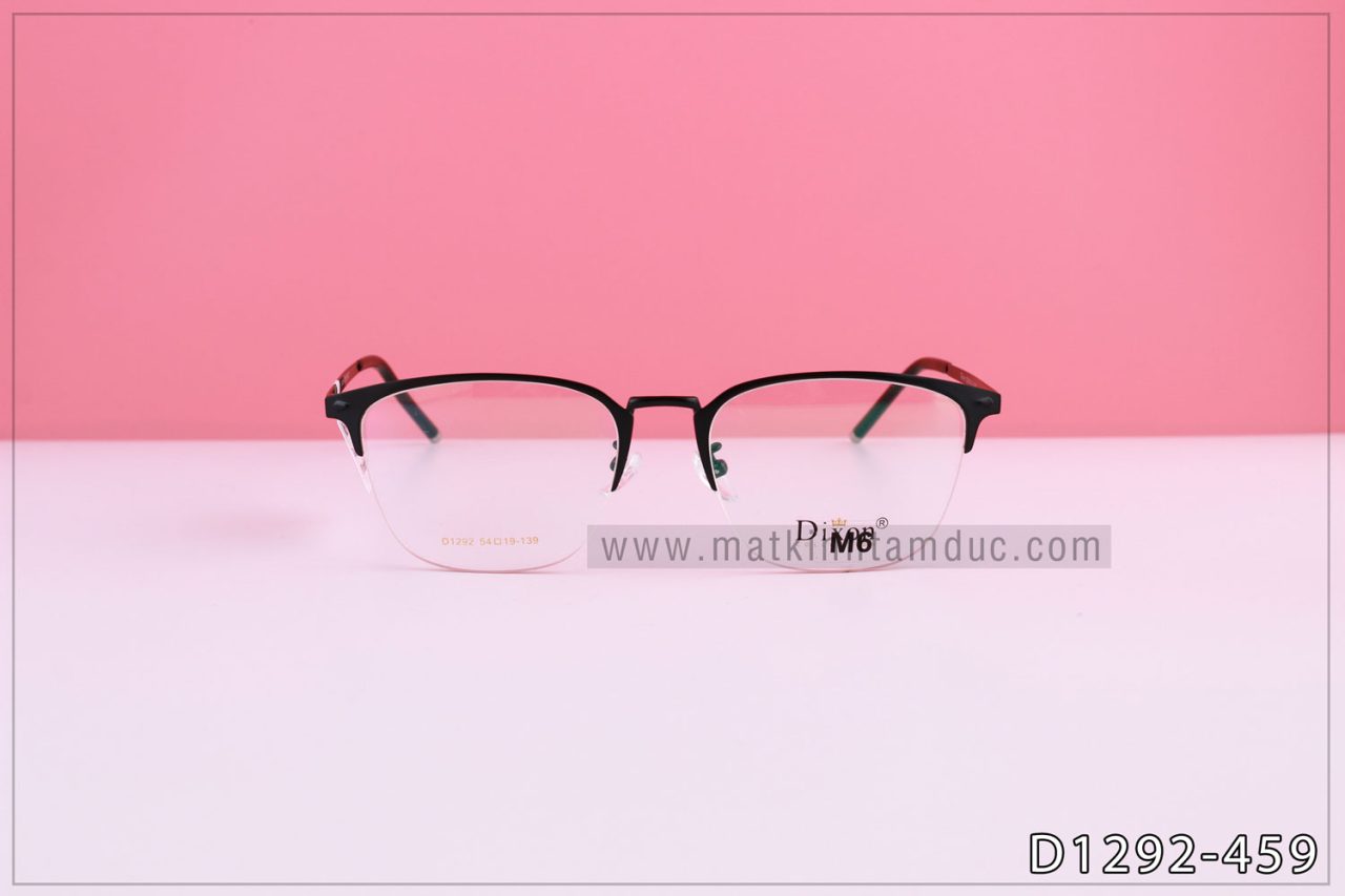 Gọng kính D1292 - Ảnh 2