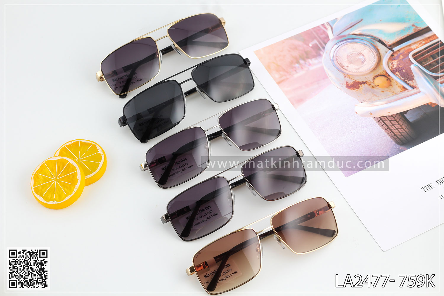Kính mát LACO 2477 - Ảnh 3