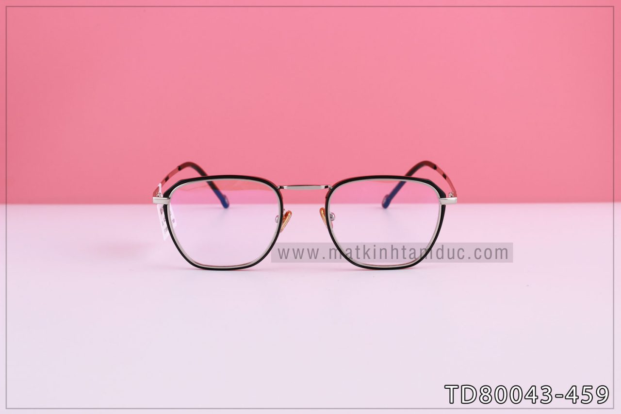 Gọng kính TD80043 - Ảnh 2