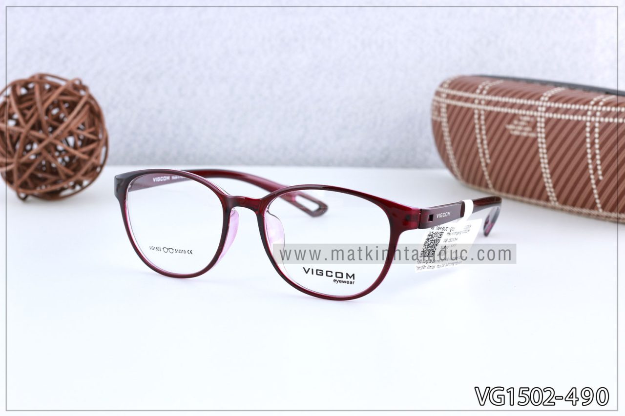 Gọng kính Vigcom VG1502 - Ảnh 3