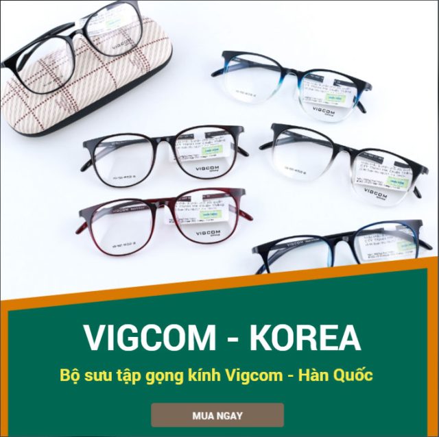 BST Vigcom KOREA T6-2019 - Ảnh 1