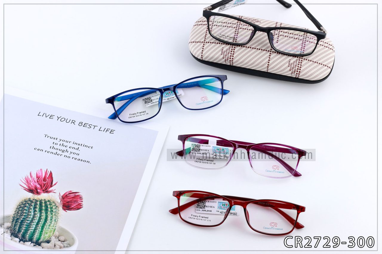 Gọng kính CERATO 2729 - Ảnh 2