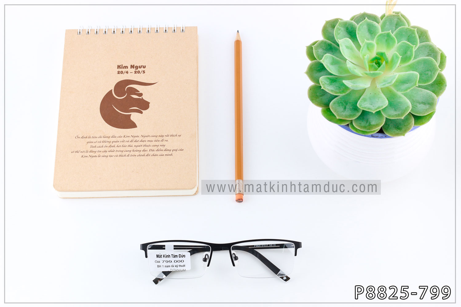 Gọng kính TITANIUM 8825 - Ảnh 2