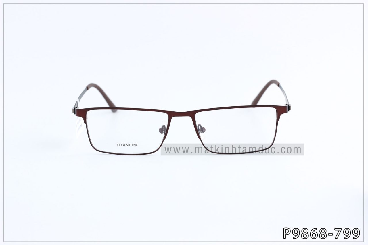 Gọng kính TITANIUM 9868 - Ảnh 5