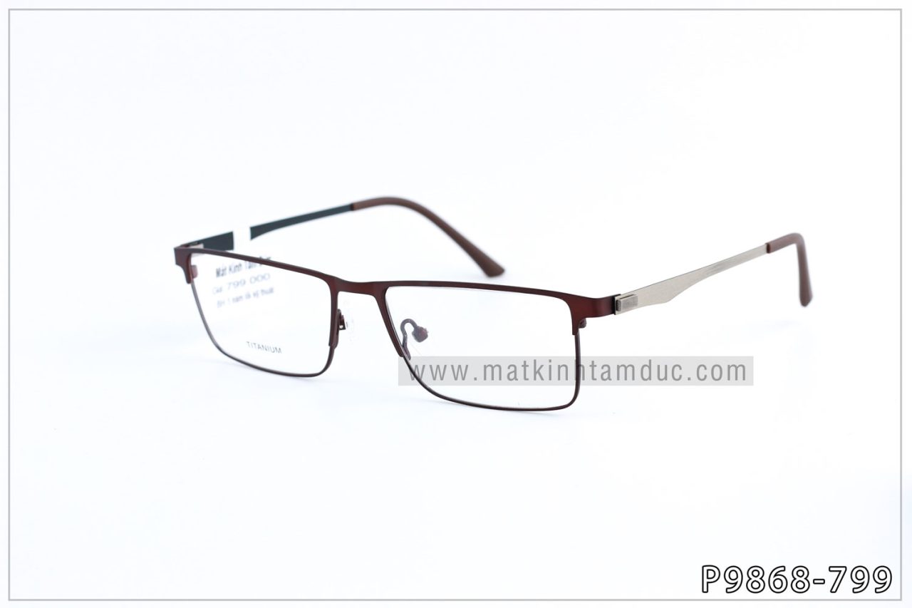 Gọng kính TITANIUM 9868 - Ảnh 6