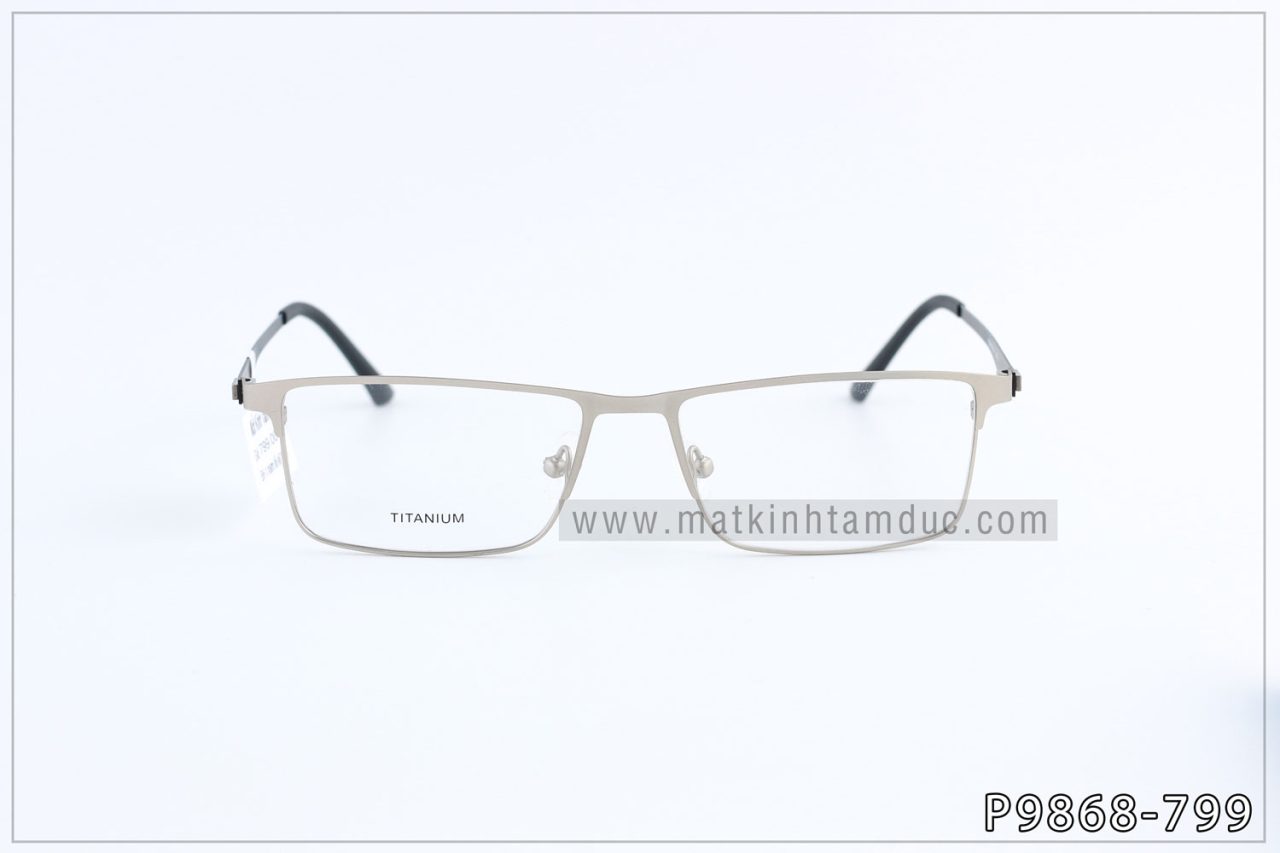 Gọng kính TITANIUM 9868 - Ảnh 7