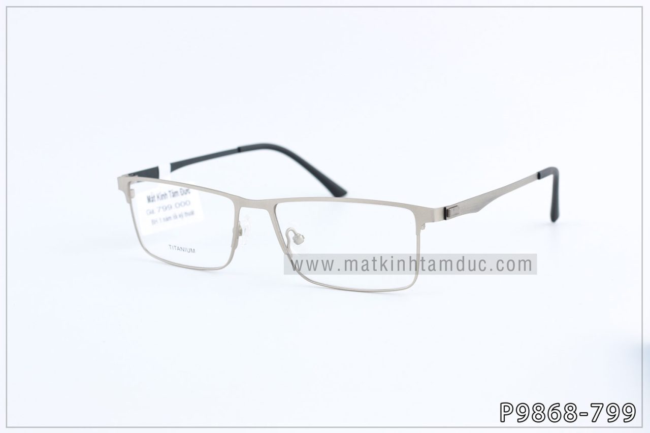 Gọng kính TITANIUM 9868 - Ảnh 8