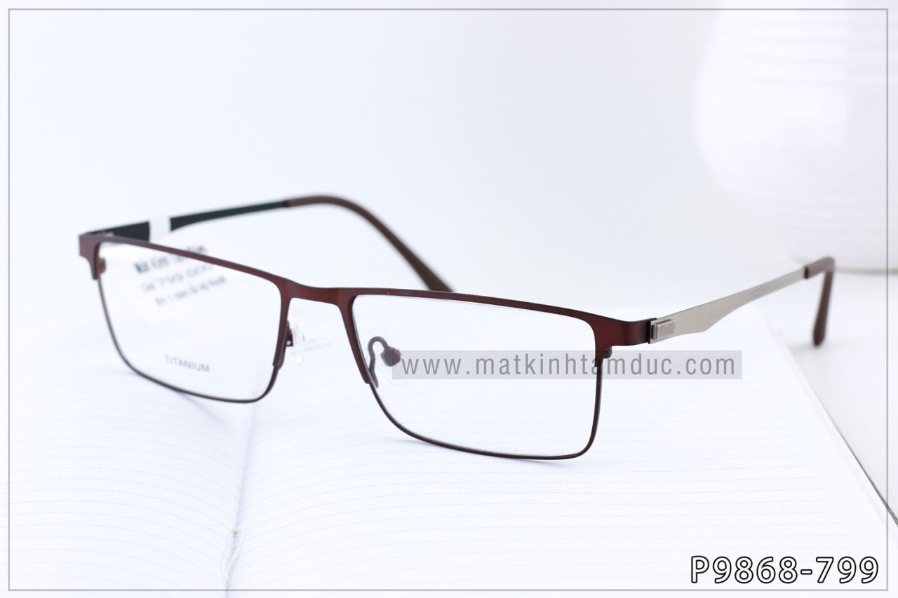 Gọng kính TITANIUM 9868 - Ảnh 1