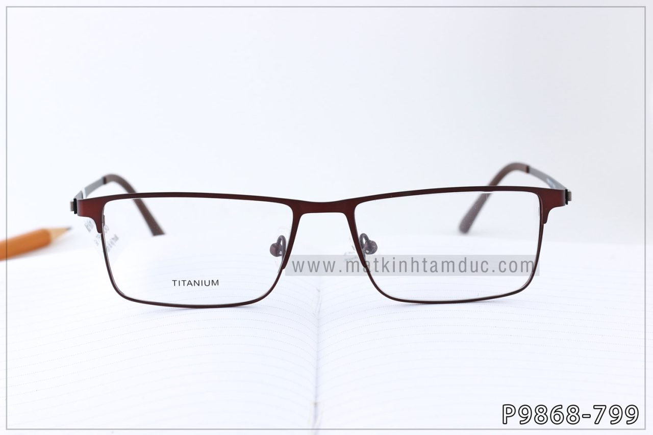 Gọng kính TITANIUM 9868 - Ảnh 3