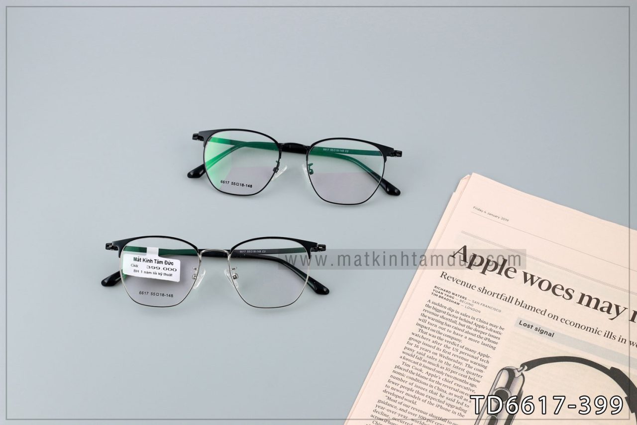 Gọng kính TD6617 - Ảnh 2