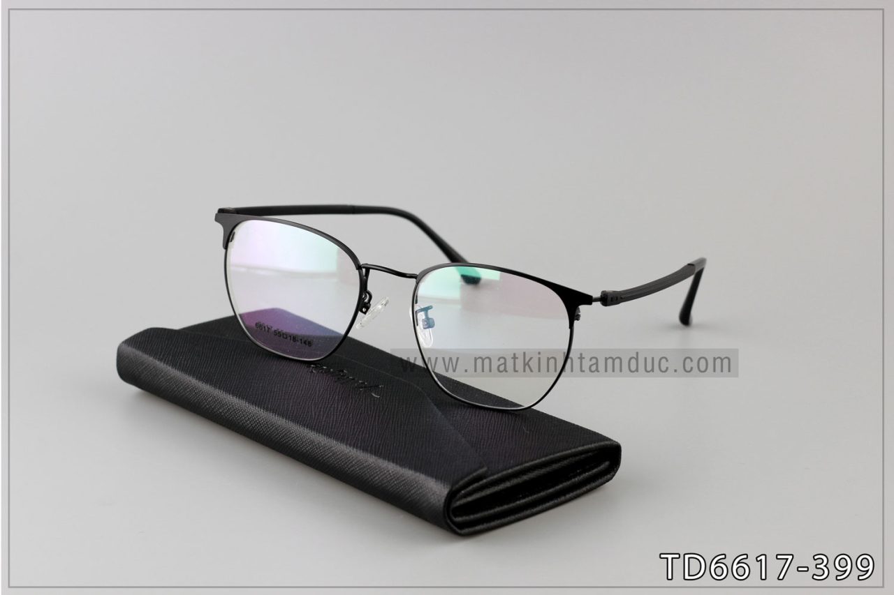 Gọng kính TD6617 - Ảnh 1
