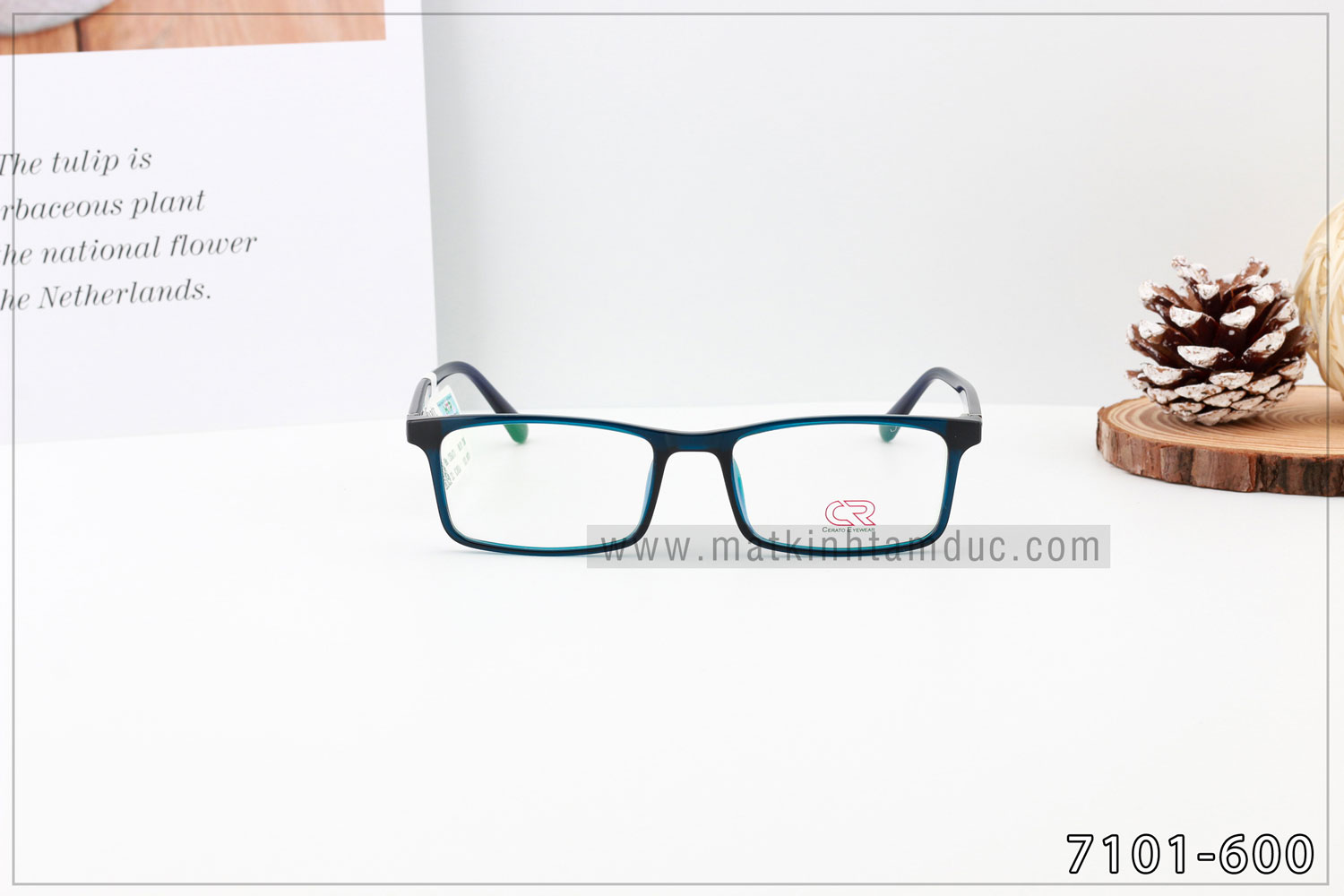 Gọng kính CERATO 7101 - Ảnh 2