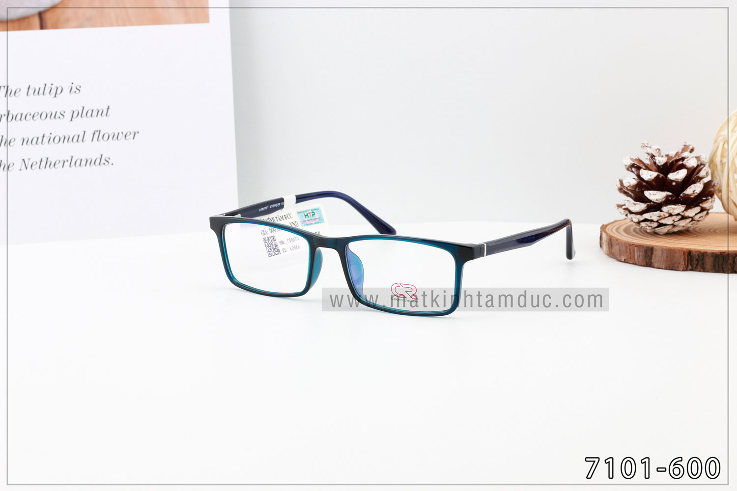 Gọng kính CERATO 7101 - Ảnh 3